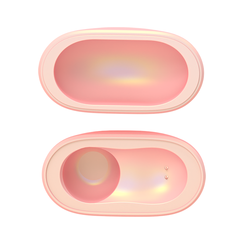 Mini suculenta