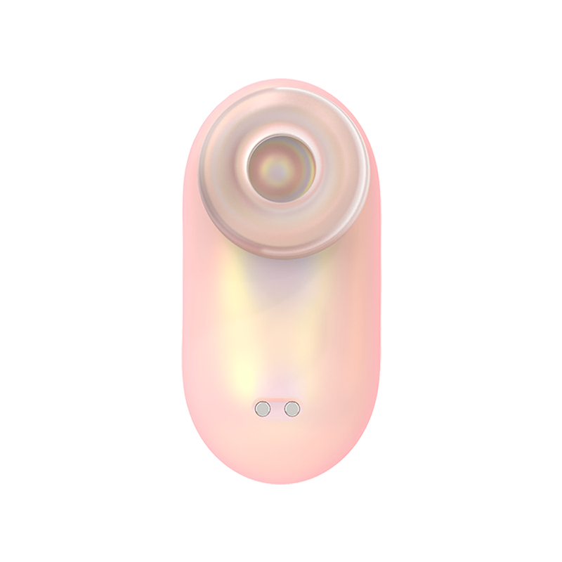 Mini suculenta